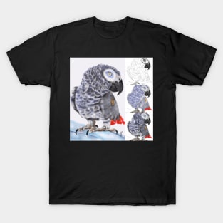 African Grey Parrot - From Sketch to Portrait T-Shirt